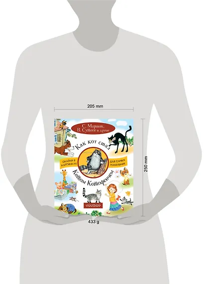 Как кот стал Котом-Котофеичем - фото 3