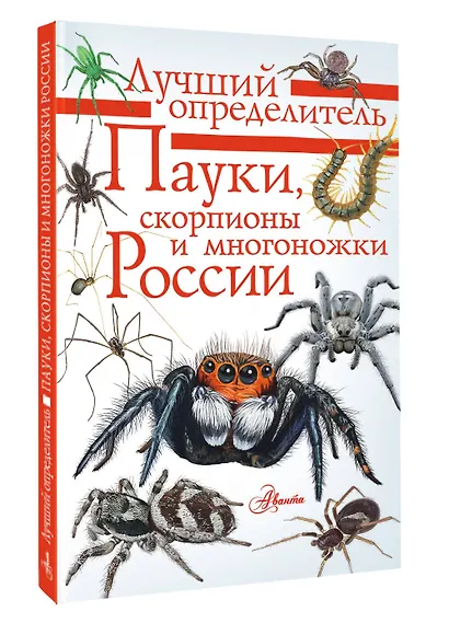 Пауки, скорпионы и многоножки России - фото 3