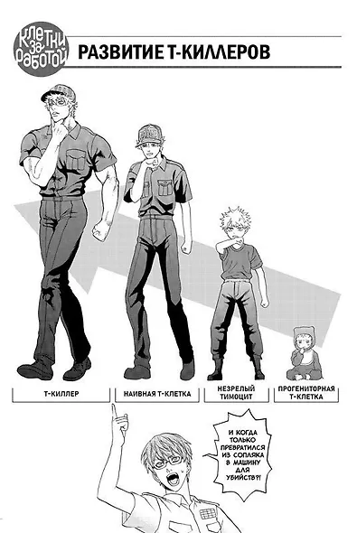 Клетки за работой. Том 2 (Hataraku Saibou). Манга - фото 4