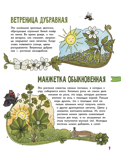 Цветы и растения - фото 5