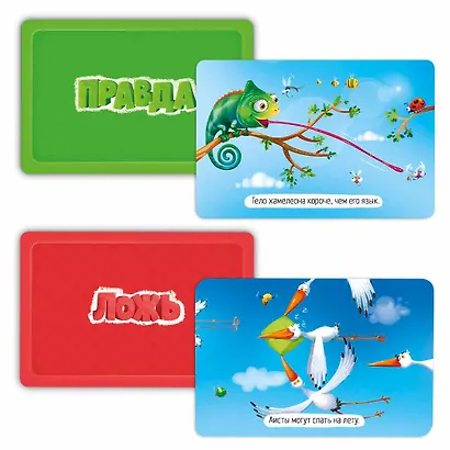 Настольная игра «Животные. Правда-ложь», Геодом - фото 3