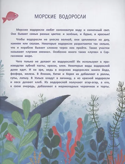 Супер-Клешня. Герой рифа - фото 6