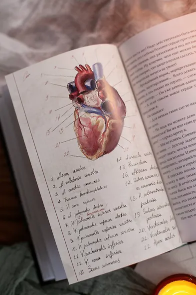 Счастливого дня пробуждения - фото 12