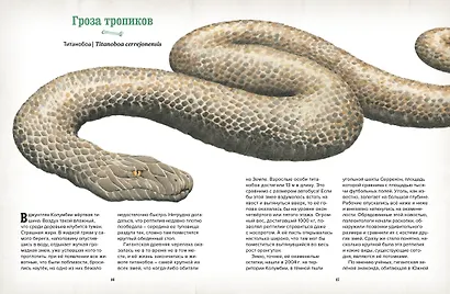 Музей доисторических животных. Единороги, мамонты, динозавры и другие экспонаты - фото 4