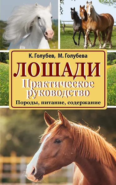 Лошади. Практическое руководство - фото 1