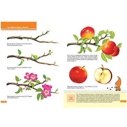 Тайны природы. Для занятий с детьми от 5 до 6 лет - фото 4