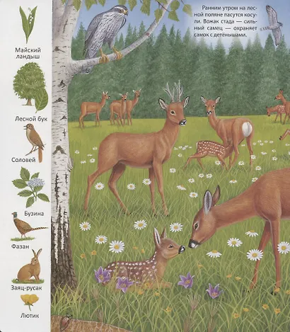 В лесу - фото 2