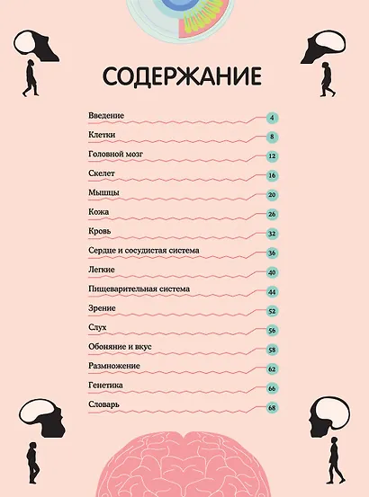 Тело человека. Визуальный гид - фото 2