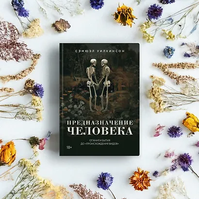 Предназначение человека: От Книги Бытия до «Происхождения видов» - фото 8