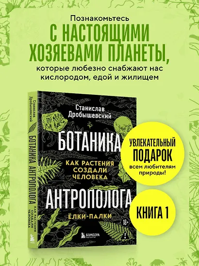 Ботаника антрополога. Как растения создали человека. Елки-палки - фото 4