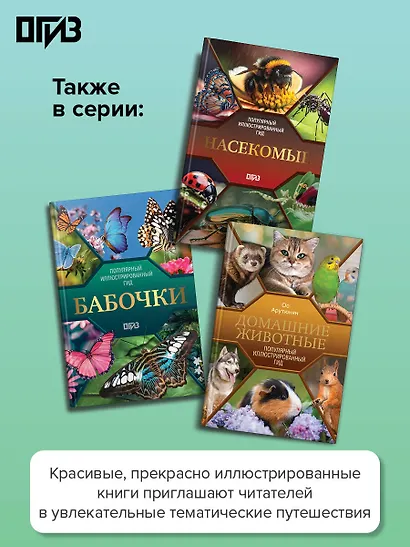 Птицы. Иллюстрированный гид - фото 6