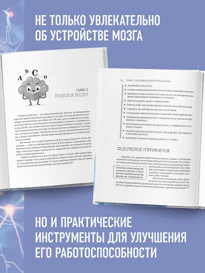 Абсолютно новый мозг. Как избавиться от тумана в голове, обрести острый ум и ясную память естественными методами - фото 5