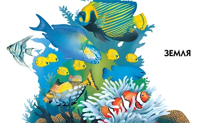 Новая детская энциклопедия - фото 8