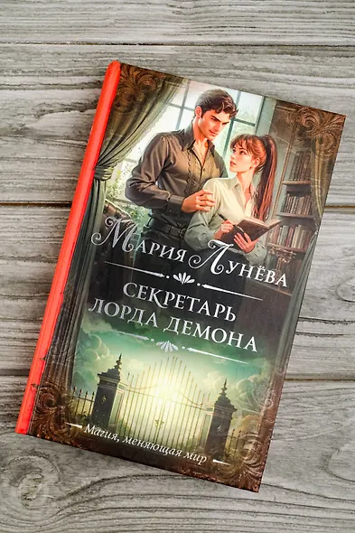 Секретарь лорда Демона - фото 6