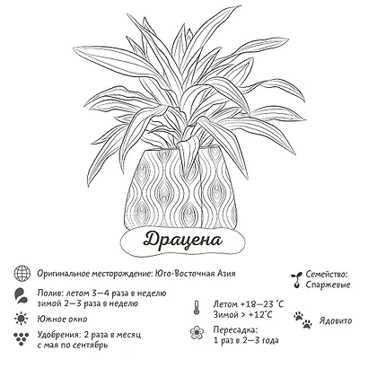 Раскраска-трекер. Растущие в темноте - фото 5