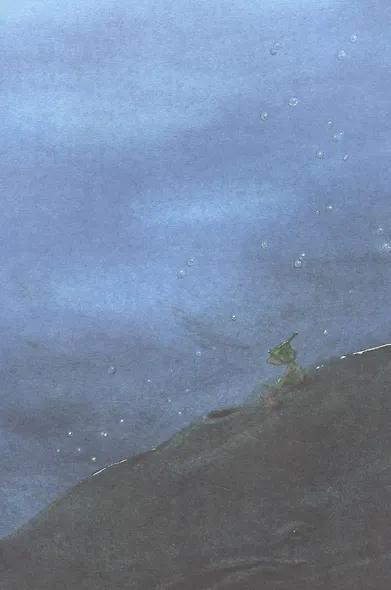 Гном из водосточной трубы. Сказка - фото 6