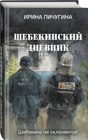Шебекинский дневник - фото 2