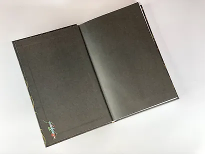 Золотая клетка - фото 6