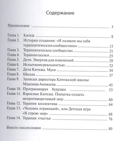 Создание сообщества приёмных семей - фото 2