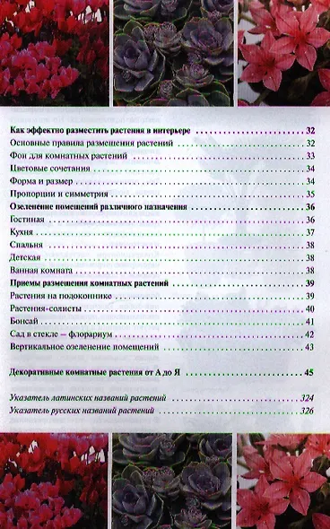Комнатные растения от А до Я. - фото 3
