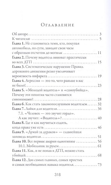 Легкий способ бросить дурить. За рулем - фото 2
