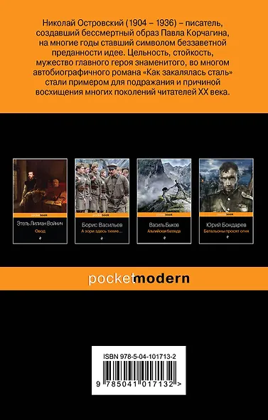 Как закалялась сталь - фото 2