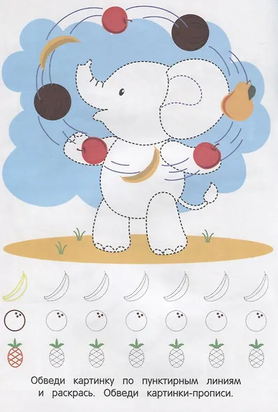 Саванна и джунгли - фото 4