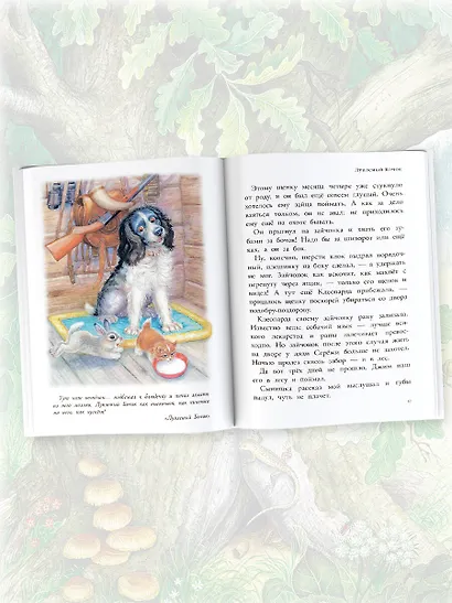 Мышонок Пик. Рассказы о животных - фото 6