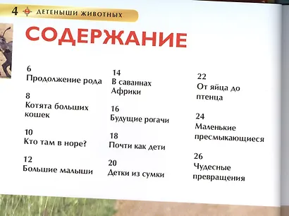 Детеныши животных. Детская энциклопедия. Пер. с англ. - фото 2