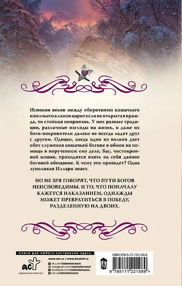 Бас. Любимица Иллари - фото 2