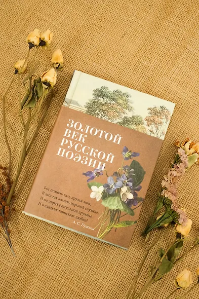 Золотой век русской поэзии - фото 7