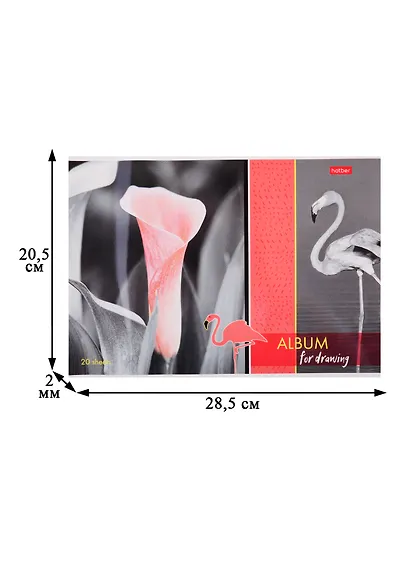 Альбом для рисования Hatber, "Изысканность цвета", А4, 20 листов, на скрепке - фото 2