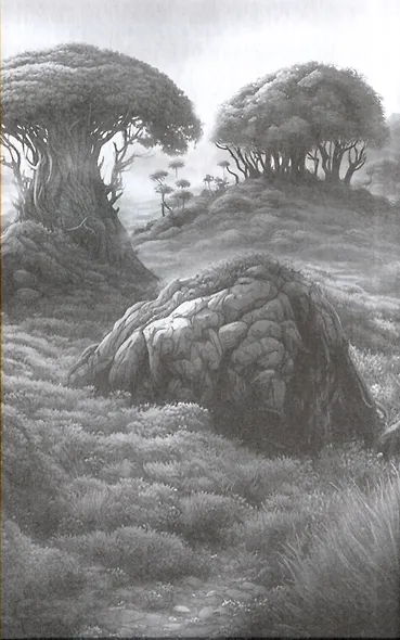 Звездный волк. Истории о космосе: рассказы и повести - фото 3