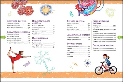 Человек. Новая детская энциклопедия - фото 3