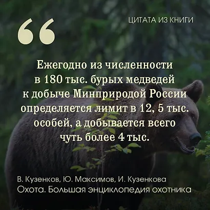 Охота. Большая энциклопедия. 17 диких зверей - фото 6