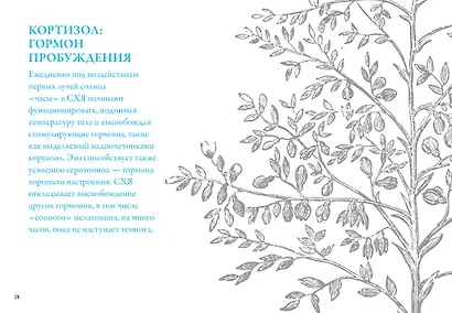 Маленькая книга хорошего сна. Для счастливого, энергичного и успешного дня - фото 4
