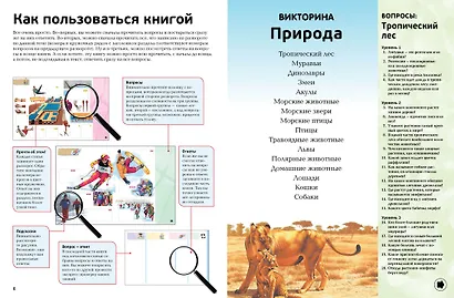 Интерактивная энциклопедия в вопросах и ответах - фото 4