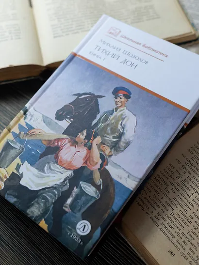 Тихий Дон. Книга 1 - фото 11