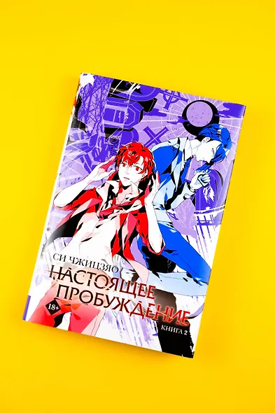 Настоящее пробуждение. Real Awakening. Книга 2 - фото 7