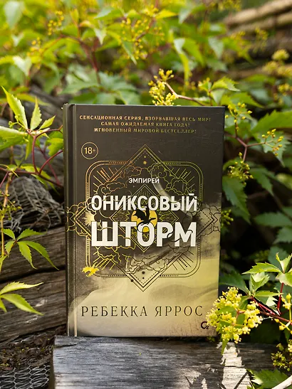 Ониксовый шторм (черный обрез) - фото 11