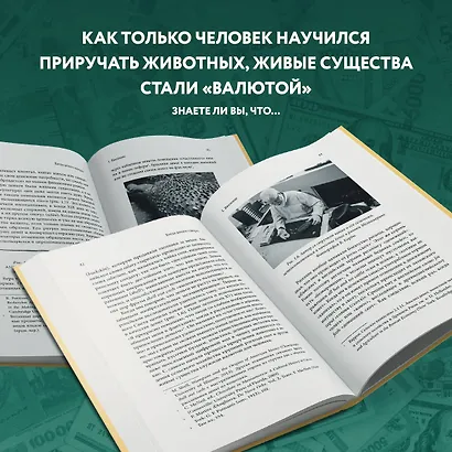 Когда деньги говорят. История монет и нумизматики от древности до поп-культуры - фото 8