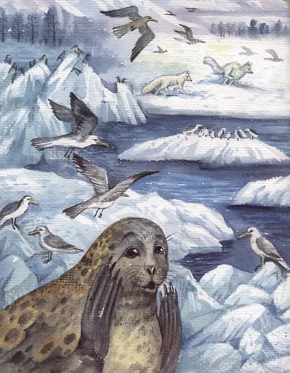 О том, как нерпы попали в Байкал - фото 3