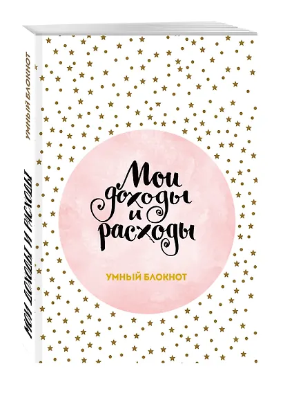 Умный блокнот CashBook «Мои доходы и расходы», 88 листов - фото 2