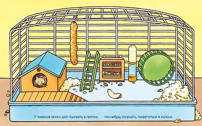 Домашние питомцы - фото 5