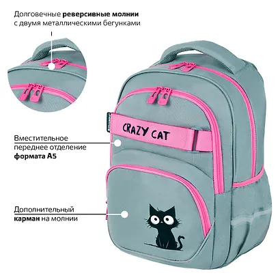 Рюкзак школьный для девочек "Crazy cat" 41*28*17см, 2 отделения, 3 кармана, с карманом для ноутбука, Brauberg - фото 3