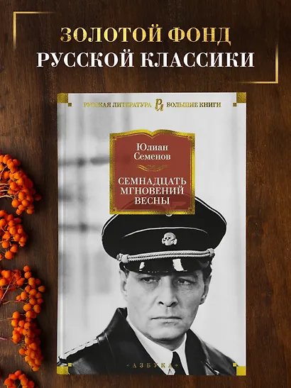 Семнадцать мгновений весны - фото 3