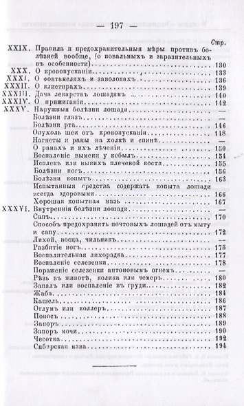 Правила и советы охотникам до лошадей при покупке, продаже, выездке, ковке и т.д. - фото 3