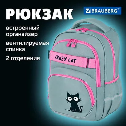 Рюкзак школьный для девочек "Crazy cat" 41*28*17см, 2 отделения, 3 кармана, с карманом для ноутбука, Brauberg - фото 1