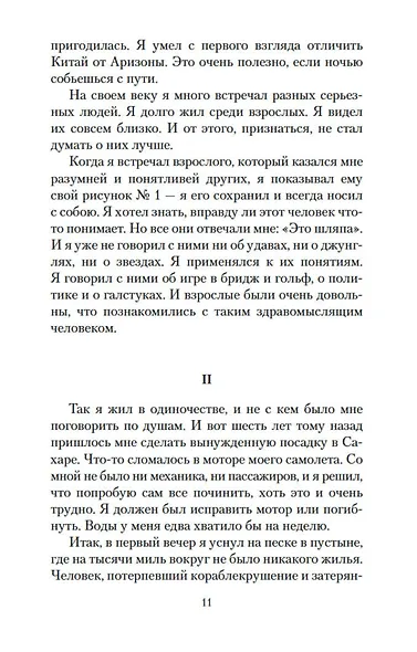 Маленький принц. Южный почтовый. Ночной полет - фото 13
