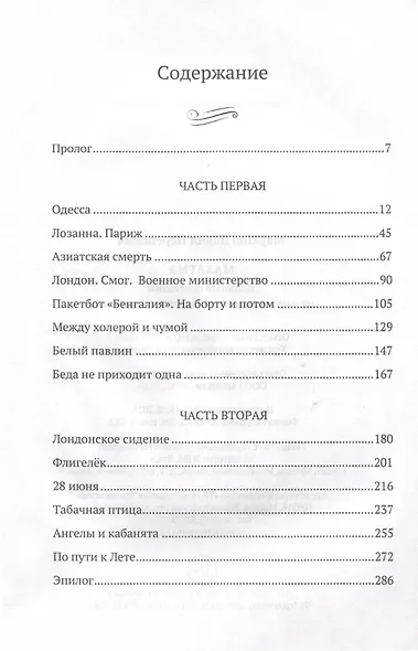 Махатма. Вольные фантазии из жизни самого неизвестного человека - фото 3